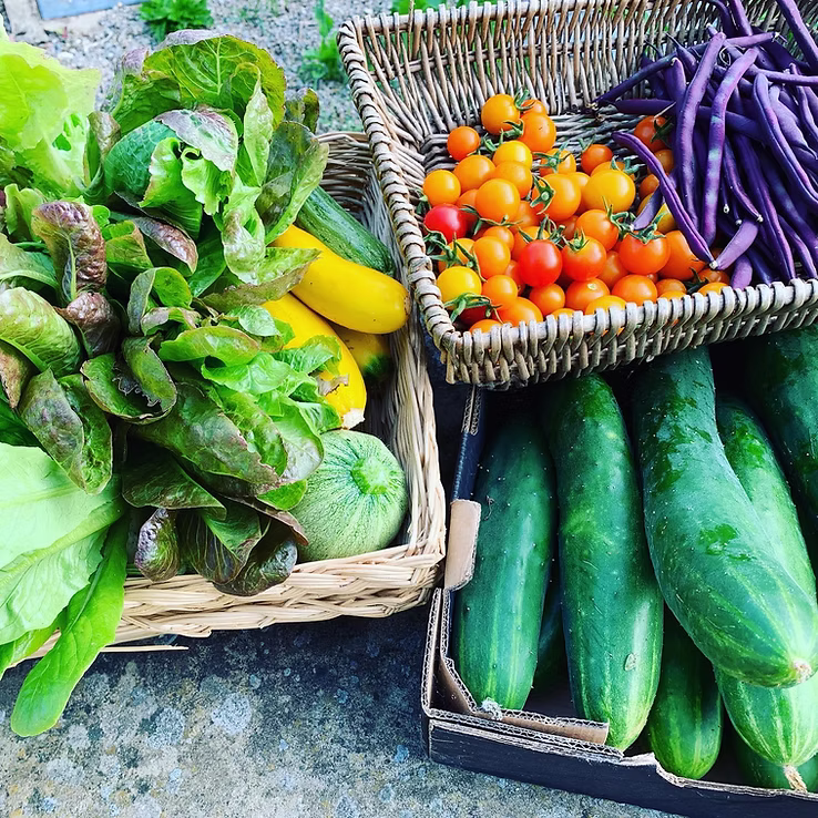 Fresh seasonal vegetables